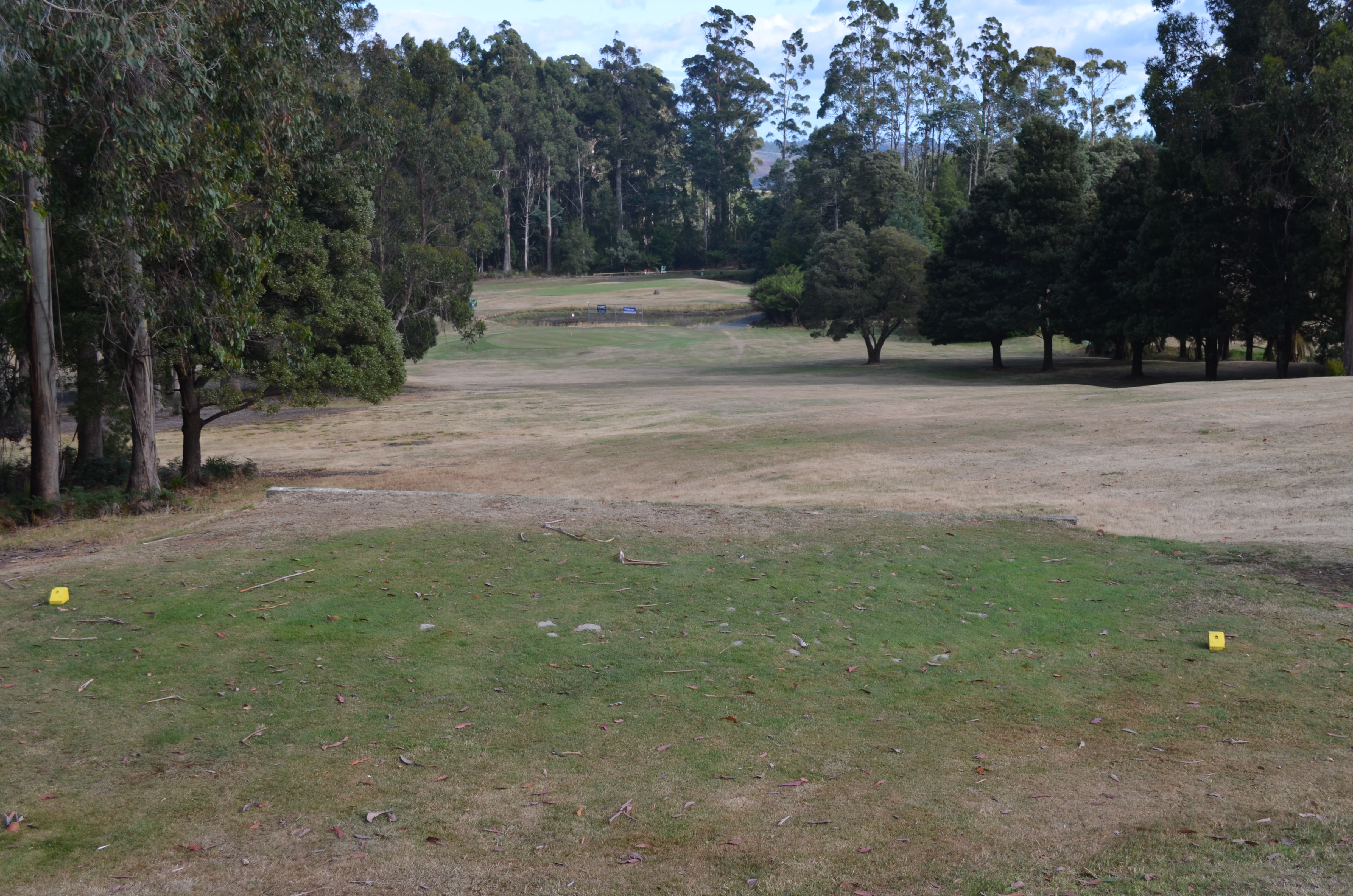 Sixth Tee (Yellow)
